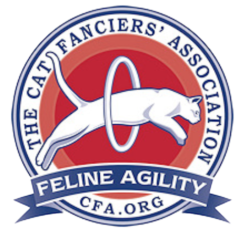 feline agility logo